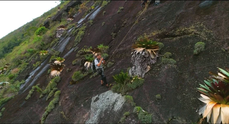 Bio_ Foto Pedro escalada_cred Divulgação - Jorge Saad Jafet