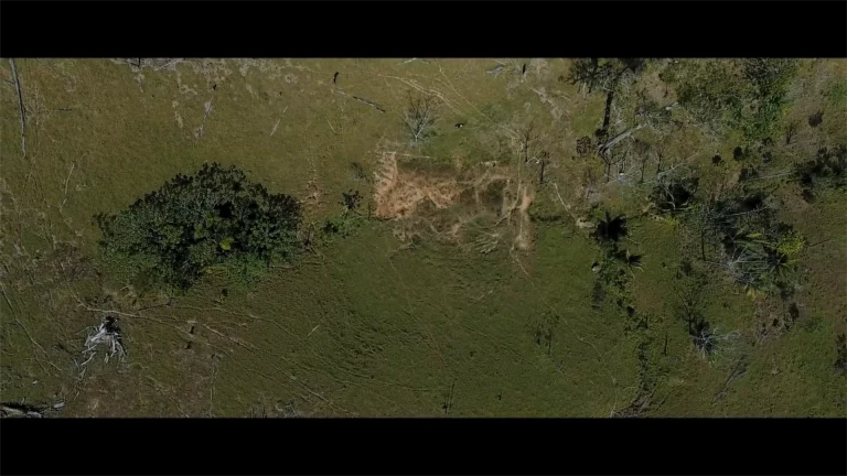 Captura de Tela (33)