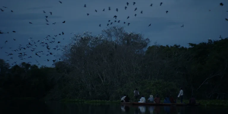 Luz_Nos_Tropicos_Still07 - Bruno Galindo