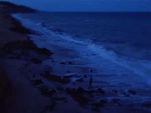 Moventes [still 03] [3]