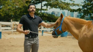 O_CAVALO_DE_PEDRO(PEDRO HAD A HORSE) (9)