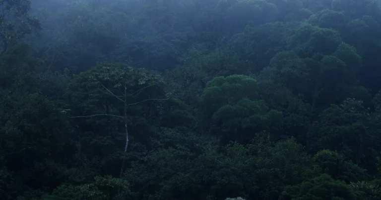 SOLOS_frame10
