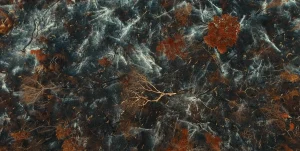 UYRA The Rising Forest_03 - Martina Sönksen