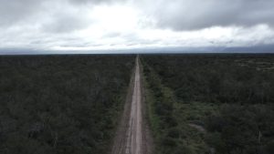 LO-01