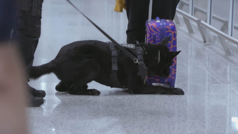 AERO_EP712_ONLINE_STILL__0015 - Tatiana Uchina