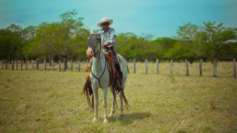 Jose Ramiro - G. MARPER