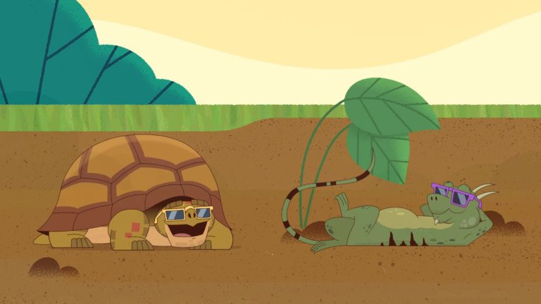 Jabuti - still (7) - Esse é o Bicho!
