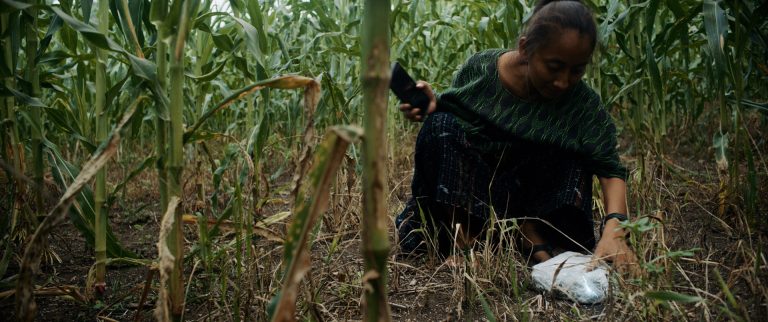 _Los Imaginarios_Still 5