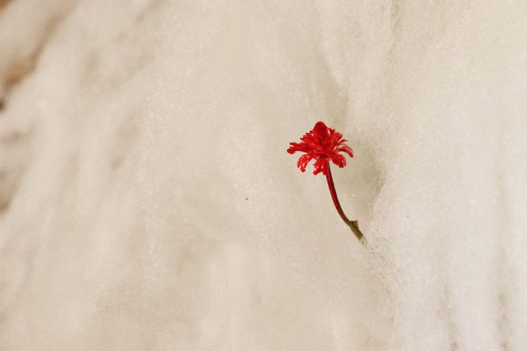 _MOTHER OF DAWN_STILL 5