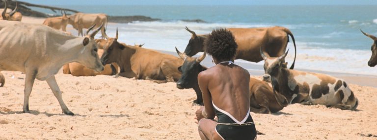 O Riso e a Faca - Gui e vacas still_300dpi