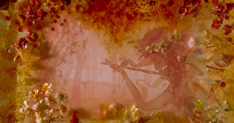 SAFO_2025_FINAL.01_00_49_09.Still002