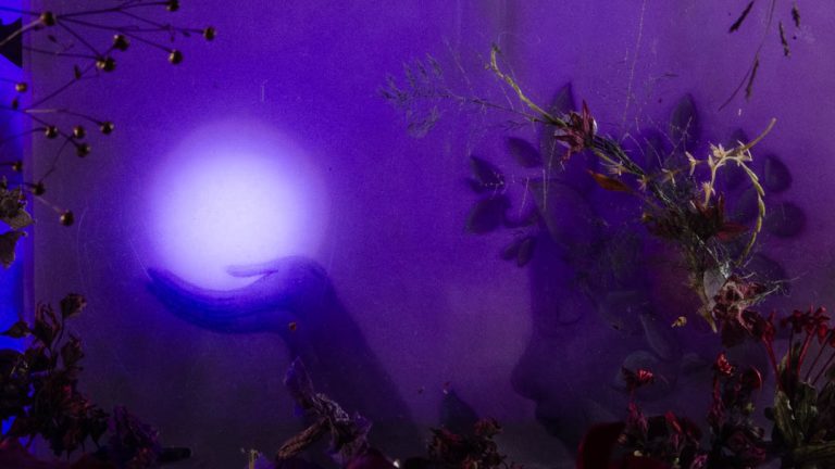 SAFO_2025_FINAL.01_05_22_04.Still009