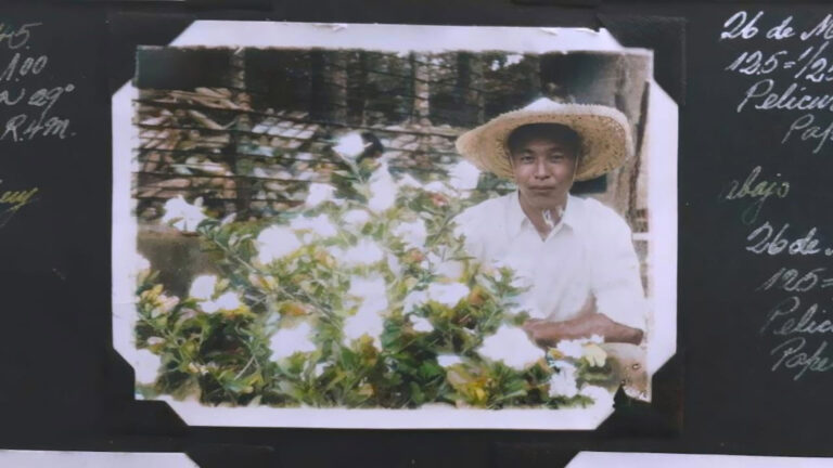 4_Dragon_Still_3