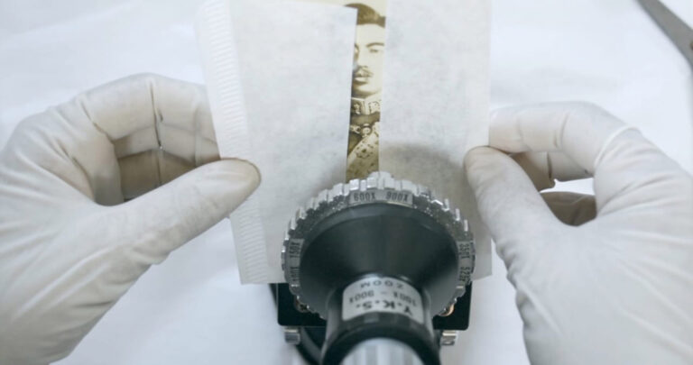 4_Dragon_Still_4