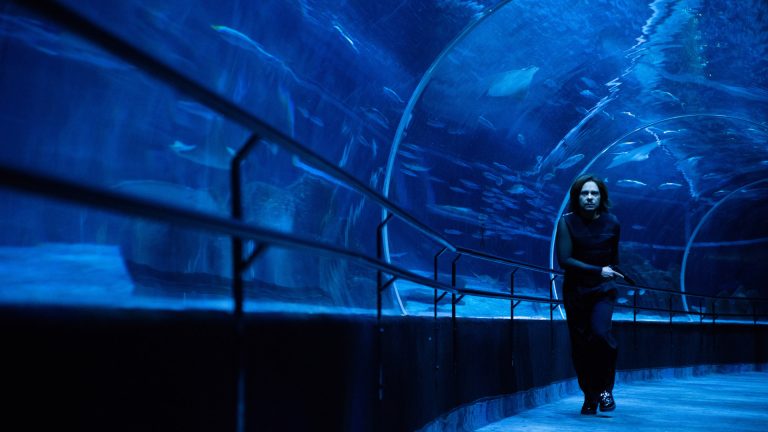 agt grande otelo - 4