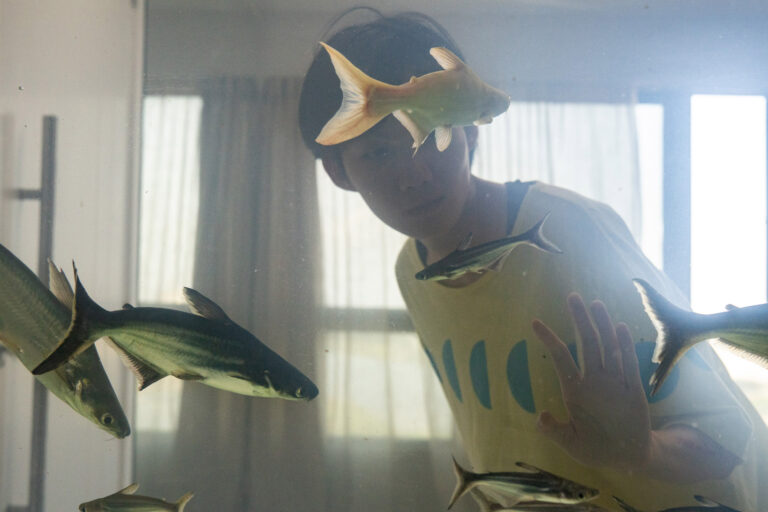 Efeito visual - DDOA_STILL PRINCIPAL - Cinemascópio Produções