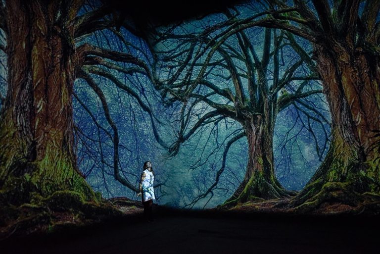 STILL FOTOGRAFIA 1 - João Martins