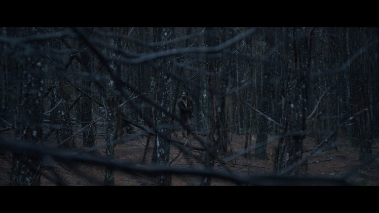 jorge6_1.1.17 - Carolina Alves